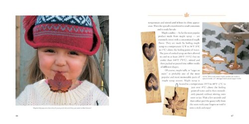 The Maple Syrup Book #TOP2