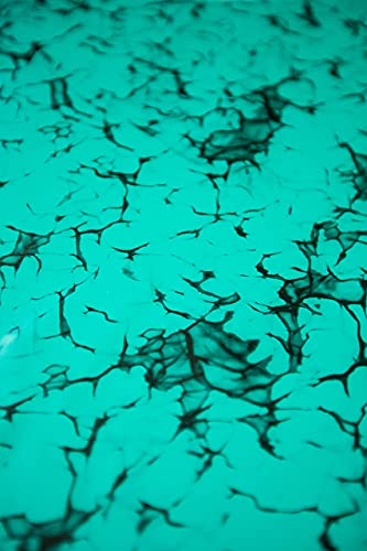 Sacs d'expédition imperméables en polyéthylène turquoise contre les déchirures - 4