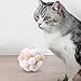 ShengQuanHao 2xInteractive Cat Toys Kicker Toys Rolling Ball Chirping Balls Cat Toy Balls for Playing Puppy, 3 Pcs