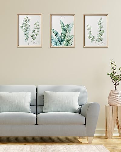Hesendot Wall Art For Living Room,Framed Wall Art,Green Wall Decor,Minimalist Canvas Botanical Wall Art Decor,16X12In Plant Wood High-Framed Design Flower Green Eucalyptus Leaf Artworks Prints Poster For Bathroom,Bedroom,Office Set Of 3 #TOP1