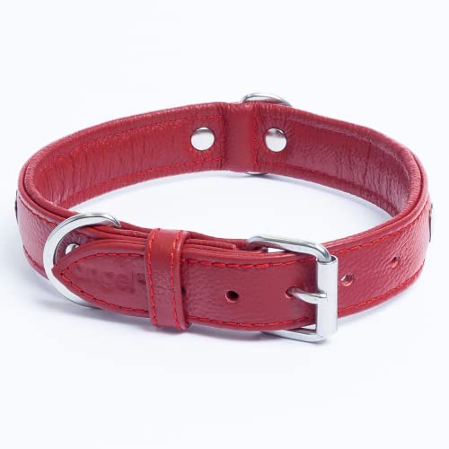 Angel Pet Supplies Genuine Leather Hearts Studded Dog Collar By Angel Pet. Soft And Durable Padded Leather. (20” X 1”, Valentine Red), Medium/Large, 41392 #TOP2