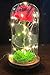LANGXUN Red Silk Rose with LED Light and Glass Dome for Home Decor Wedding Decorations for Women