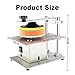 CD/DVD Disc Polishing Machine,200W Disc Cleaning Equipment with 6 Speed Adjustable,Forward & Reverse,Electric Bench Disc Sander Polisher,for Disc/Scratch Repair & Data Recovery