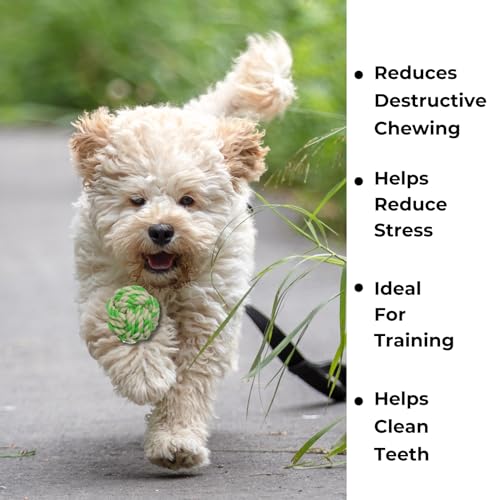 6 Pack Rope Balls for Small Dogs & Puppies – Durable, Interactive Chew Toys – for Playtime and Fetch- Ideal for Teething, Training, and Playtime 6 Pack Rope Balls for Small Dogs & Puppies – Durable, Interactive Chew Toys – for Playtime and Fetch- Ideal for Teething, Training, and Playtime