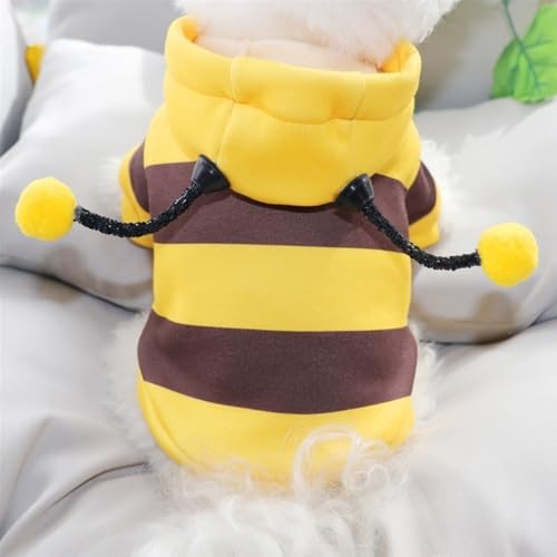 Sudadera para Perro y Gato Diseño Abeja Talla M miniatura 5