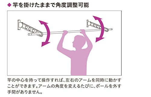Amazon | 物干し 屋外 窓壁用物干し 物干し金物 川口技研 窓壁用