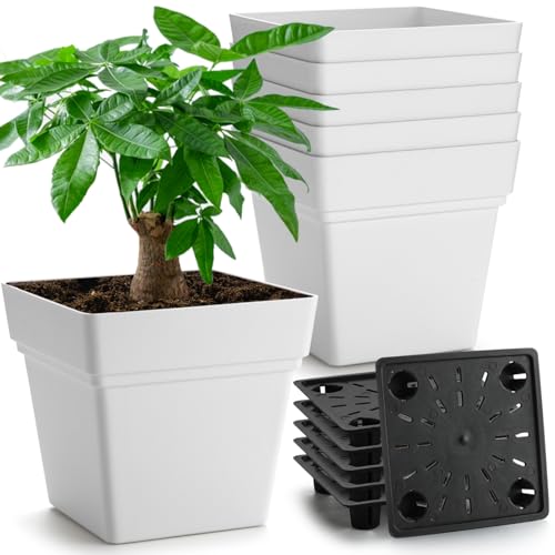 Pacote com 6 vasos quadrados de 17 cm com design autoirrigável – ...