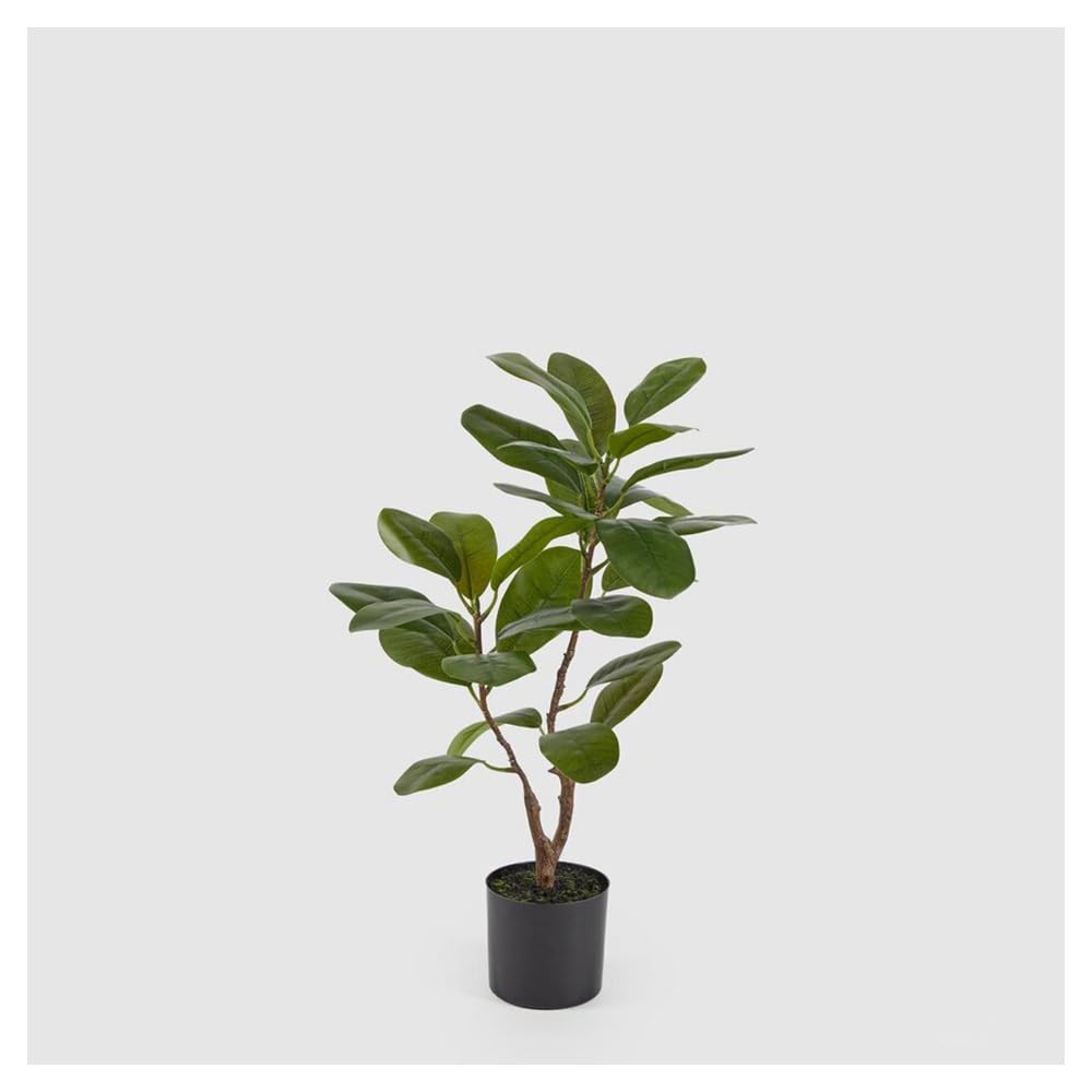 Ficus Artificiale Chic Con Vaso Nero: Pianta Finta Iperrealistica Per Casa E Ufficio, Alta 64 Cm