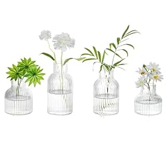 Clear- Narrow Ribbed