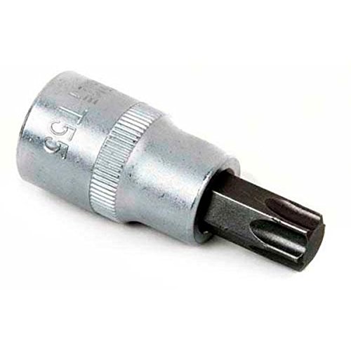 Puntas Torx 55 Marca Cofan