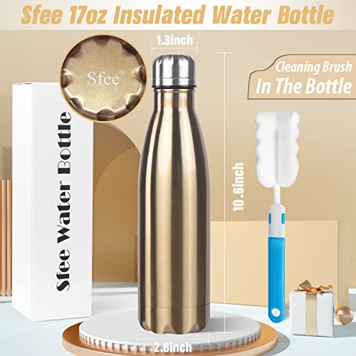 Image of Sfee Insulated Water Bottle, 17 oz Stainless Steel Water Bottles, Double Wall Vacuum Reusable Water Bottles Leak Proof BPA-FREE Sports Bottle Cup Keep Hot&Cold for Running Gym Workout Cycling Kids