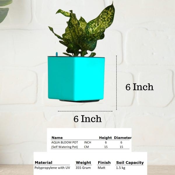 Image of Indian Discovery Self Watering Wall Hanging Planter|Hanging /Hooked Flower Pots for Home, Balcony, Garden Decor Flower Pots(1 PC, Peacock Green, Square) |6 Inch UV-Resistant Plastic Plant Pots