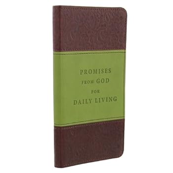 Imitation Leather Promises from God for Daily Living Book