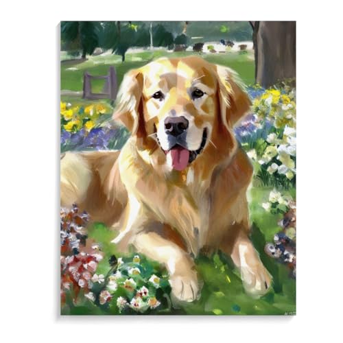 DIY Paint by Numbers Golden Retriever Dog on Canvas Painting Kits for Adult, Beginner Oil Painting Kits Gift 12x16inch(30x40cm) Frameless