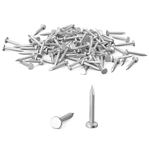 100Pcs 20mm Nails for Wood, Wood Nails, Galvanized Concrete Wall Nail, Masonry Nails, Picture Nails for Carpentry & DIY, Hanging Pictures and Woodworking-Silver
