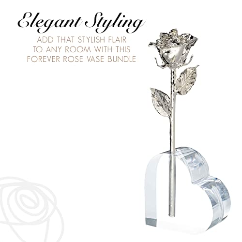 Image of Forever Rose Real Rose Dipped in Silver, Acrylic Heart Vase