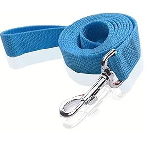Nylon Dog Leash 4 Ft 5 Feet 6 Foot Long, Walking Training Dog Leashes for Medium Large Dogs, 1 Inch Wide(6ft,Blue)