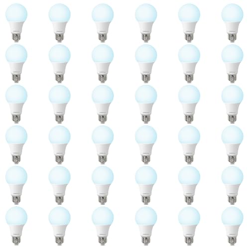 Image of DEGNJU 36 Pack A19 LED Light Bulbs 60W Equivalent, Daylight 5000K, 800 Lumens, E26 Base, Non-Dimmable, 8W Energy Efficient Warm LED Bulbs for Home Lighting