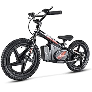 Angetriebenes Laufrad MIO Teck | Elektro Laufrad für Kinder 16 Zoll 5-8 Jahre 2 Geschwindigkeiten 12-24km/h 24V 170W Brushed Motor (schwarz)