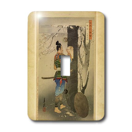 Interruptor de luz vintage 3dRose lsp_186293_1 decorativo para pared de salon