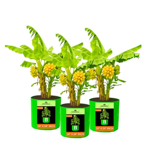 Image of Kingwell grow bags 24X24 inch pack of 3 For Terrace Garden Vegetable Plant Grow Bags Fruits Growing Containers For terrece Gardening