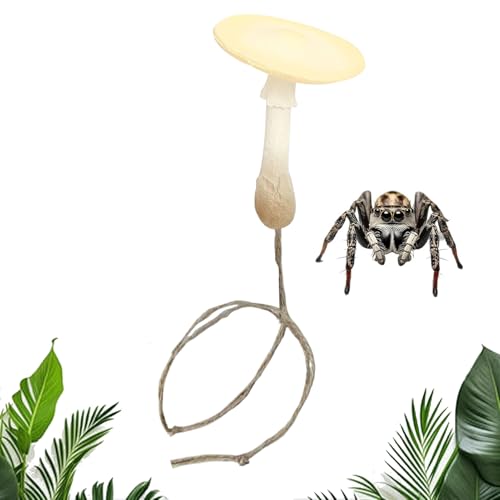 NP[X ANZT[ | }OlbgvCOEh | LmR̃nGgOP[W fR[V,঒   ƒ뎺p