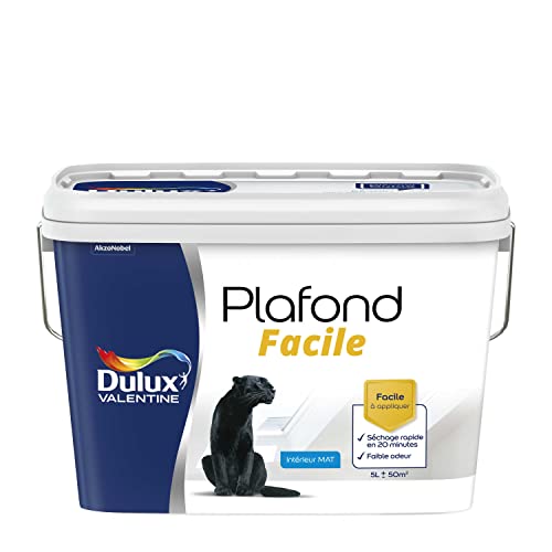 Dulux Valentine Peinture Plafond Facile - Séchage rapide 20 minutes - Mat Blanc 5 L