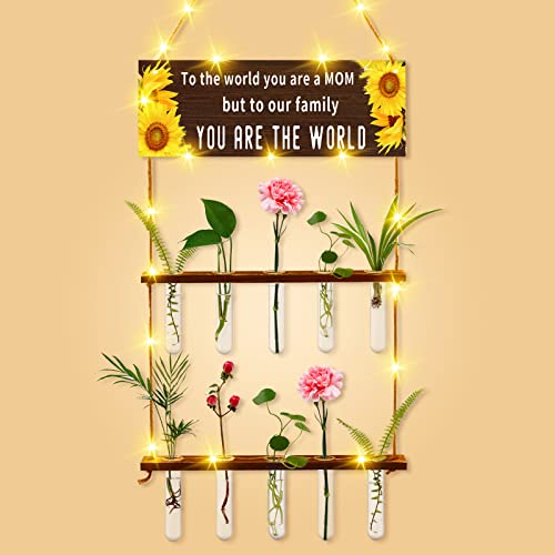 Aujzoo Mom Gifts for Christmas, to Our Family You are The World Holzschild und Pflanzenvermehrungsröhren mit LED-Lichterkette, Wandbehang Pflanze Terrarium, Geschenke für Mutter, Geburtstag, Muttertag Cover