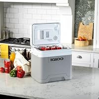 IGLOO IE24 elektrische Kühlbox, 12V und 230V, 24L - kompakter Mini-Kühlschrank, grau, für Auto, Camping, Urlaub, Boot, Festivals - leicht, tragbar, mit praktischem Kabelfach und Eco/Max Modus – Ansicht 2
