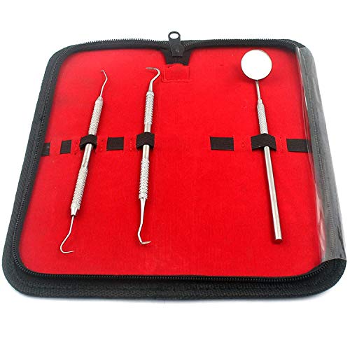 PRECISE CANADA: Dental Tool KIT - Includes Stainless Steel TARTER Scraper/Scaling Remover, Dental Toothpick, Mouth Mirror - Dentists Tools Set is Ideal for Personal USE & PET Friendly New