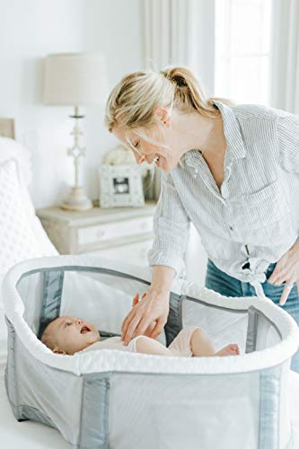 baby delight snuggle nest peak portable bassinet