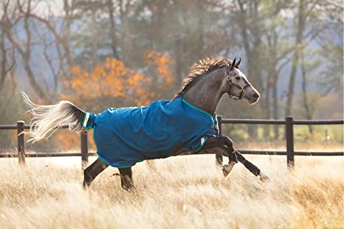 Horseware Ireland Rhino Original Turnout Sheet (0G Lite), Size: 72, Color: Navy (Grey/Aqua Trim) #TOP25