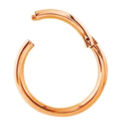 14g 5/16'' Hinged Septum Clicker Segment Nose Ring Lip Ear Cartilage