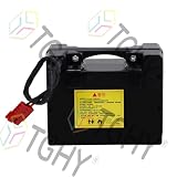 TGHY Akumulator do wózka inwalidzkiego elektrycznego 24V 15Ah 20Ah 30Ah 40Ah 50Ah Akumulator litowo-żelazowo-fosforanowy 24V z ładowarką i wtyczką Andersona do silnika 0-1200W,24v30ah