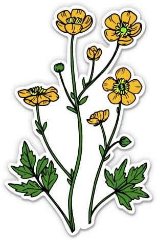 Buttercup Yellow Flower Wildflower - 8 Vinyl Sticker - for Car Laptop I-Pad - Waterproof Decal