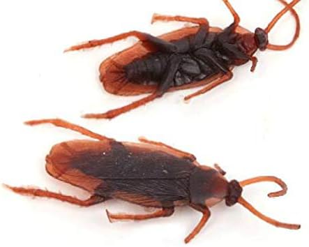 SUMAG 10 Pcs Simulation Cockroach (Fake) Magic Tricks Close up Street Bar Props Comedy Mental Magic Fool Toy Funny