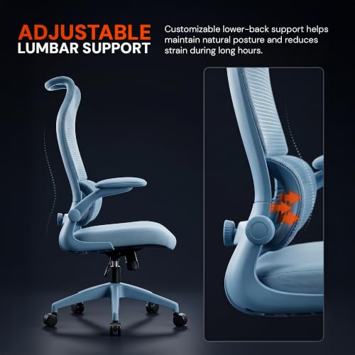 Image of DROGO Chrono Ergonomic Office Chair for Work with Adjustable Lumbar Support | Curved Back Breathable Mesh | Computer Chair With 135 Recline |2D Padded Armrests & Heavy Nylon Base, 1-Yr Warranty(Blue)