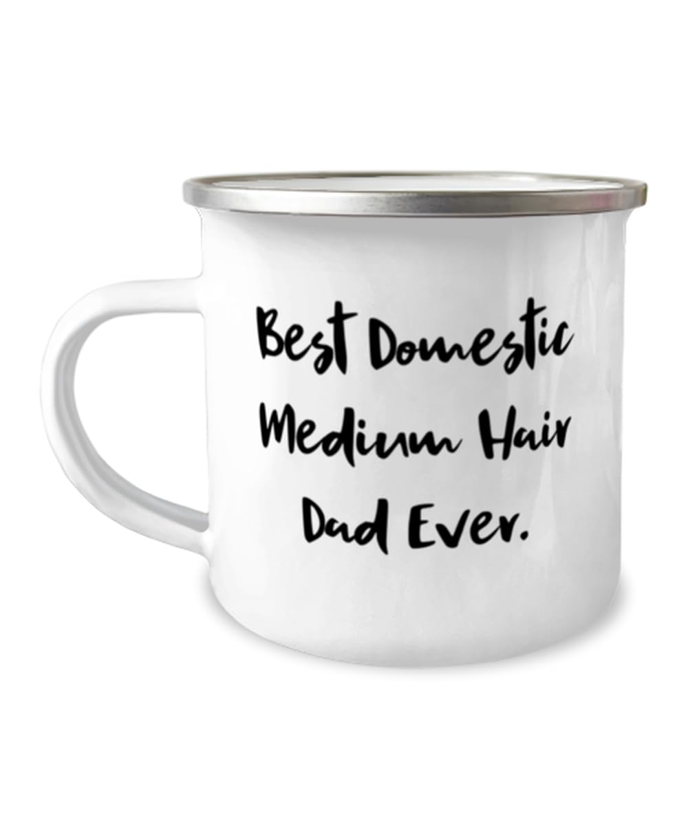 Mother's Day Unique Gifts for Cat Lovers, Funny Domestic Medium Hair Gifts from Friends, Best Domestic Medium Hair Cat Dad Mug