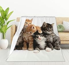 Kittens Family