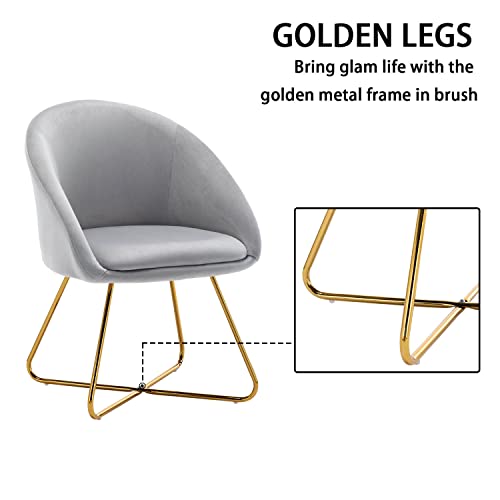 Altrobene Mid-Century Accent Chairs Set Of 2, Velvet Dinging Chair, Living Room Bedroom Chair Set, Golden Finished, Grey #TOP6