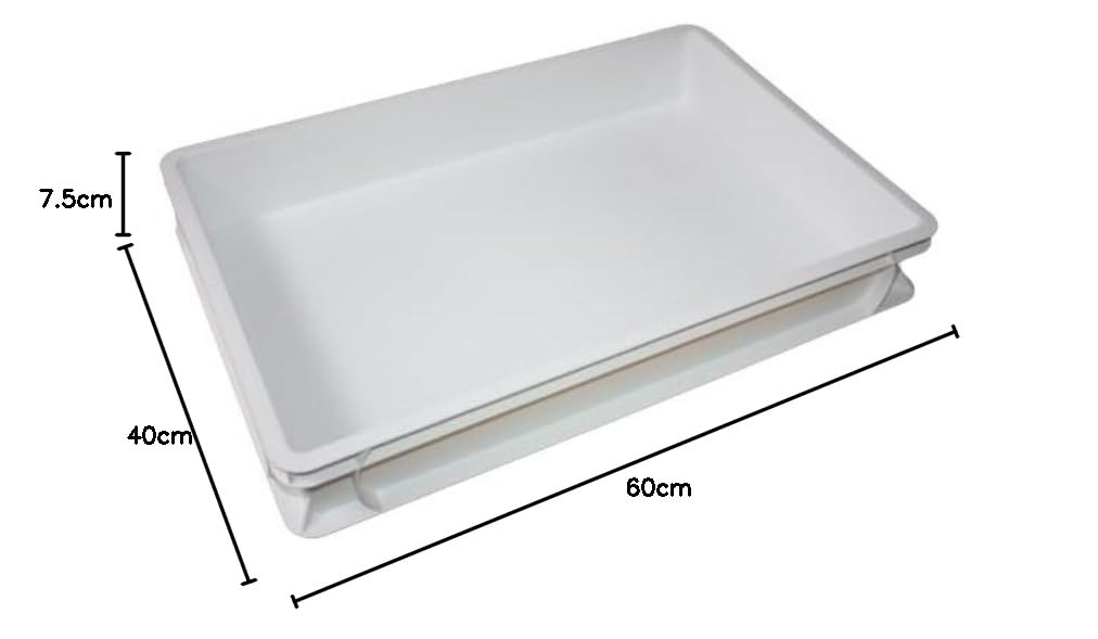 Pizzaballenbox 60 x 40 x 7,8 cm Teigkiste Aufbewahrungsbehälter Gärcontainer temperaturbeständig geruchsneutral lebensmittelecht stapelbar Polypropylen