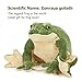 MorisMos Giant Frog Stuffed Animal Frog Plush, Large Stuffed Green Frog Pillow for Kids, 22 Inch