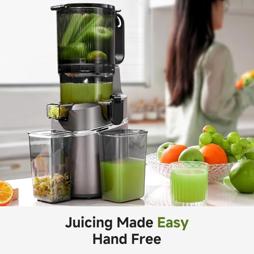 AMZCHEF Automatic Cold Press Juicer Machines 250W - 145MM Opening and 2L Capacity Slow Juicers for Whole Fruits and Vegetables, Bright Grey - Image 8