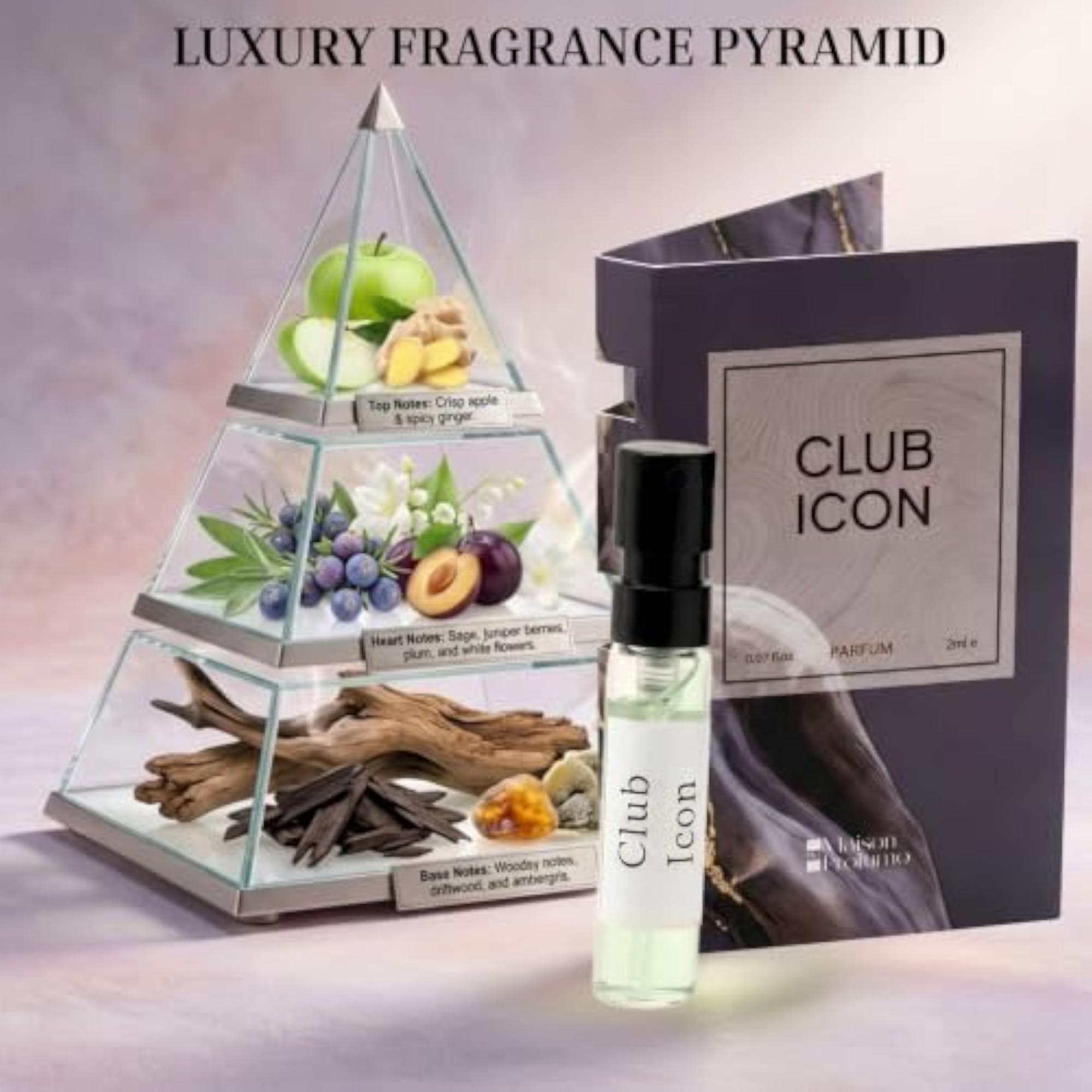 Evening Luxury Collection Discovery Set (6 x 2ml)