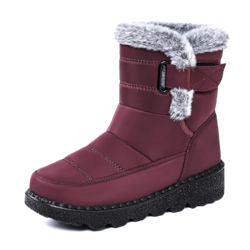 [SEINIES]  Xm[u[c fB[X ~ ʃt@Xi[ h h  ۉ y {A t@[ p ~  N wlC }}̓ ʋ s ΍ g ᓹ ፑ kC 傫TCY