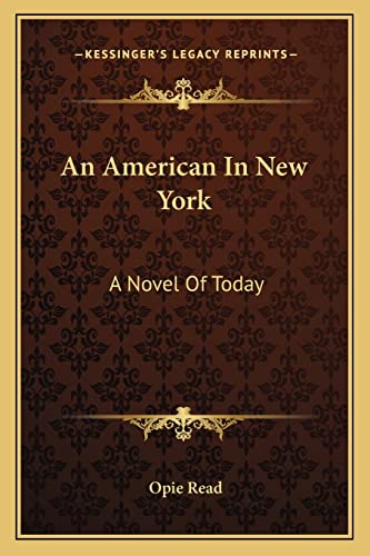 An American In New York: A Novel Of Today