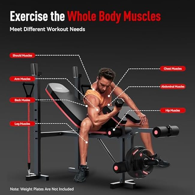 HARISON 6 in 1 Weight Bench Set with Leg Extension and Preacher Curl, 660LBS Workout Bench Press Rack for Home Gym with Resistance Bands