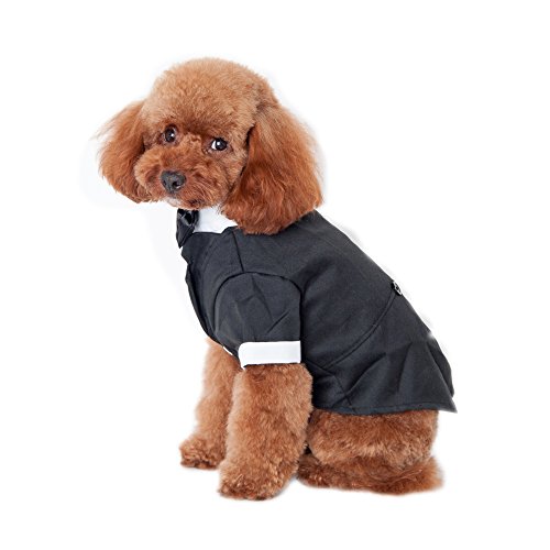 Keysui Welpe Haustier Hund Fliege Smoking Hochzeit Katze Kostume Mantel M