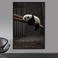 Framed Canvas Wall Art Panda Animals Bear Expressive Living Room Multicolor Photography Tropical - 16x24 inches