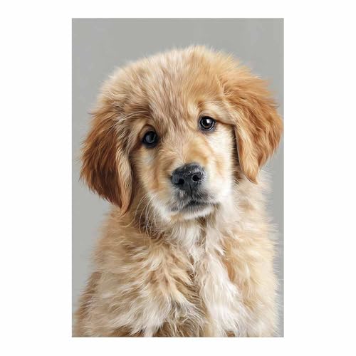 Mural en toile animaux chiot marron pour habiller un mur vide